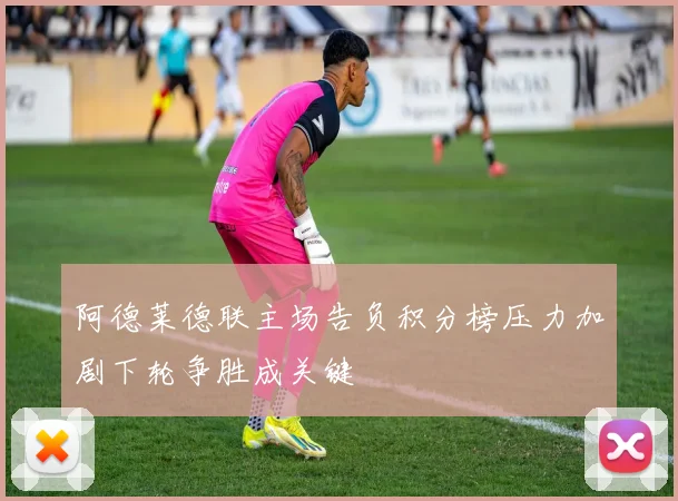 阿德莱德联主场告负积分榜压力加剧下轮争胜成关键