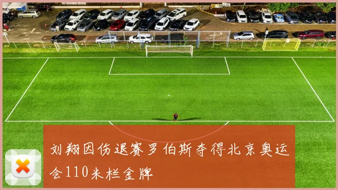 刘翔因伤退赛罗伯斯夺得北京奥运会110米栏金牌