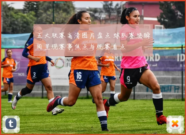 五大联赛高清图片盘点 球队赛场瞬间呈现赛事焦点与观赛看点