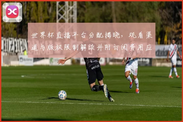 世界杯直播平台分配揭晓，观看渠道与版权限制解读并附订阅费用应对攻略